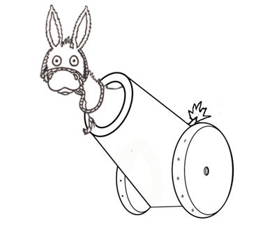 donkey_launcher